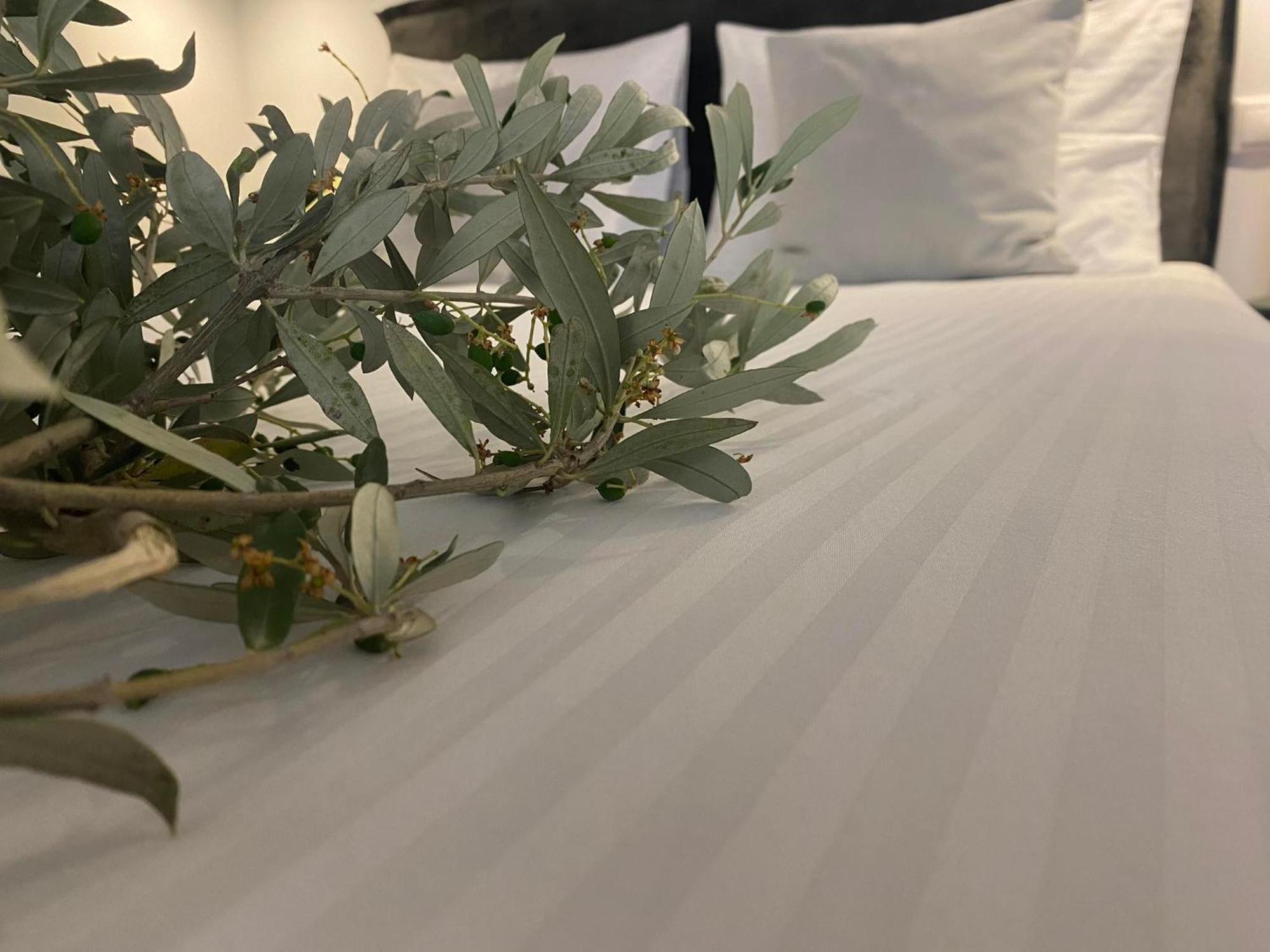 Oniropetra Luxury Suites Armakha Kültér fotó